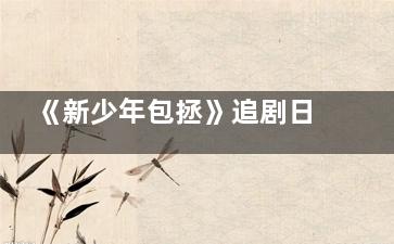 《新少年包拯》追剧日历每周几更新几点 新少年包拯主要讲述的什么故事